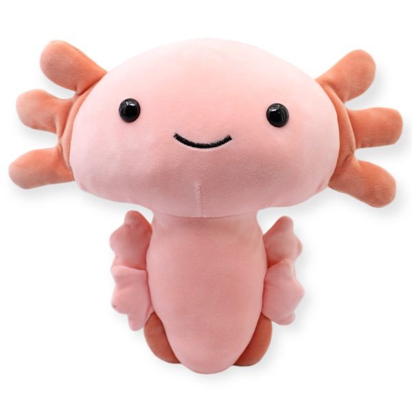 Ajolote Axolotl Rosa Med