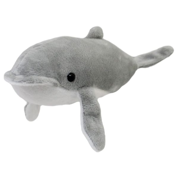Ballena Pacifico Ch