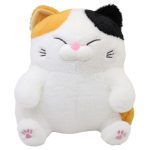 Gato Cali Gde Con Sonido