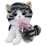 Gato Miguru Taby Med