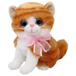 Gato Miguru Tangerine Med