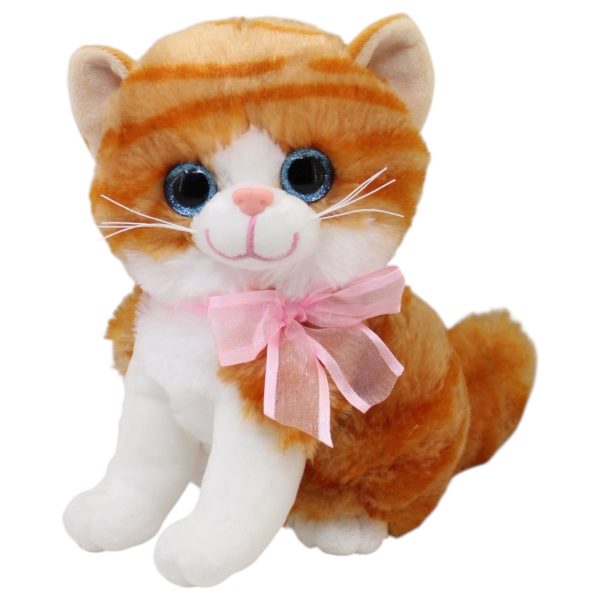 Gato Miguru Tangerine Med