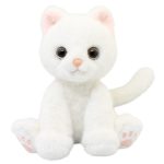 Gato Persa Blanco Gde