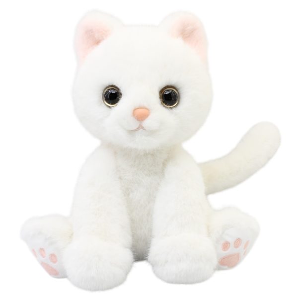 Gato Persa Blanco Gde