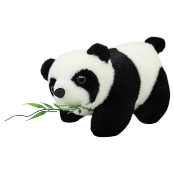 Panda Chapuly Ch