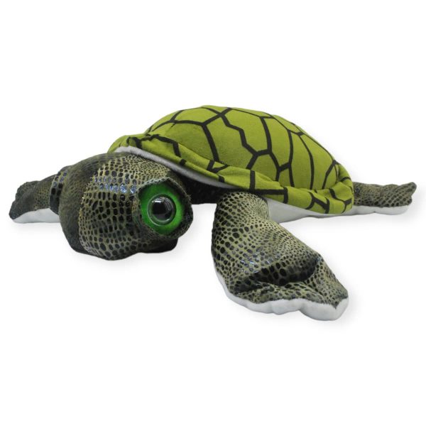 Tortuga Guaymas Gde